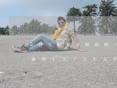 支付宝蚂蚁花呗逾期一天要紧吗(支付宝花呗逾期1天了会怎么样吗)