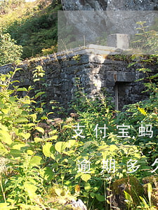 支付宝蚂蚁花呗逾期多久上信证(支付宝花呗逾期多久会影响信用)
