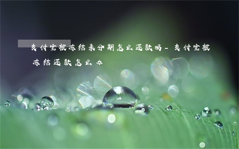 支付宝被冻结来分期怎么还款吗-支付宝被冻结还款怎么办