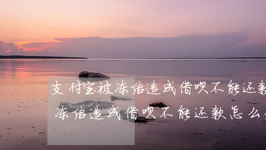 支付宝被冻结造成借呗不能还款-支付宝被冻结造成借呗不能还款怎么办