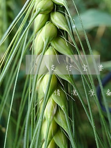 支付宝要上门调查起诉-支付宝要上门核实情况准备起诉材料了