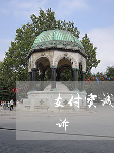 支付宝诚e赊逾期后果-诚e赊逾期多久起诉