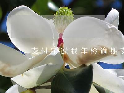 支付宝说我年检逾期 支付宝说我年检逾期