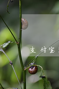 支付宝说立案起诉我(支付宝说起诉我了)