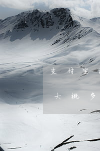 支付宝说要起诉是真的吗(支付宝说要起诉我大概多久下来)