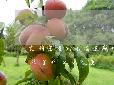 支付宝请先结清逾期什么意思(支付宝逾期结清了什么才恢复)