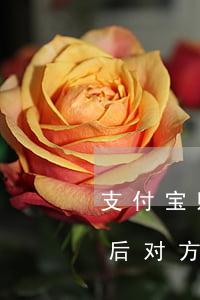 支付宝败诉后需要承担对方律师费用吗(败诉后对方的律师费也需要承担吗)