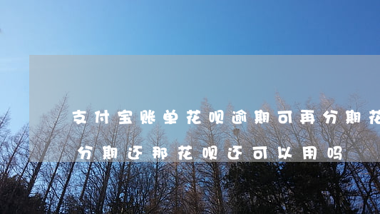 支付宝账单花呗逾期可再分期(花呗逾期账单分期还,那花呗还可以用吗)