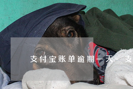 支付宝账单逾期一天-支付宝逾期一个星期