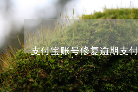 支付宝账号修复逾期(支付宝怎么逾期修复)
