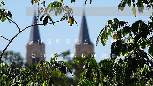 支付宝账号是空号花呗逾期(支付宝花呗逾期会打电话吗,我回拨是空号)