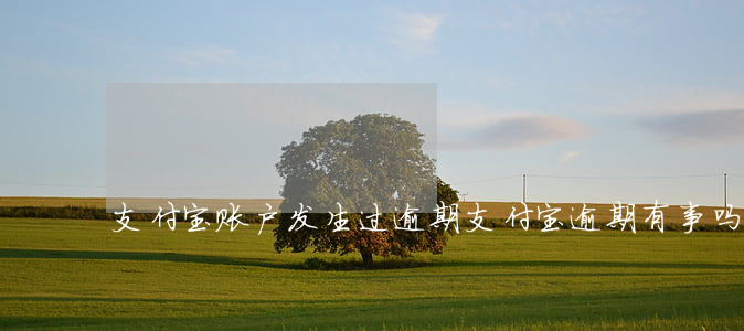 支付宝账户发生过逾期 支付宝逾期有事吗