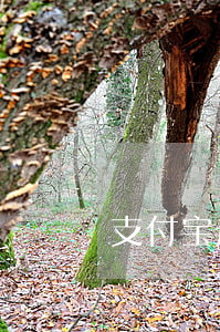 支付宝起诉个人(支付宝起诉欠款人)
