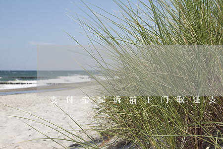 支付宝起诉前上门取证(支付宝催款上门取证)