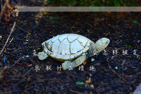 支付宝起诉后会怎样(被支付宝起诉后法院会采取什么措施)
