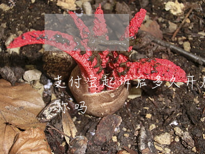 支付宝起诉后多久开庭(支付宝起诉前会通知你吗)