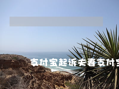 支付宝起诉夫妻(支付宝怎么起诉离婚)