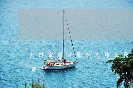 支付宝起诉是在当地还是哪里（支付宝起诉功能）