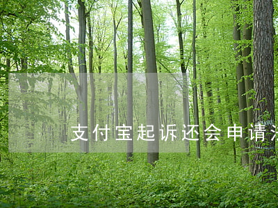 支付宝起诉还会申请法院调查令么
