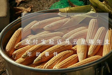支付宝起诉马云是哪年(支付宝起诉马云是哪年的事件)