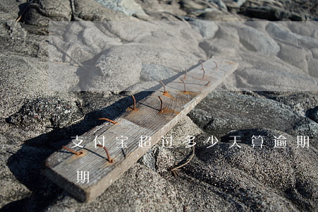 支付宝超过多少天算逾期-支付宝多久算逾期