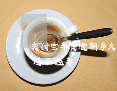 支付宝车贷逾期多久拖车(汽车贷逾期6个月还不拖车)