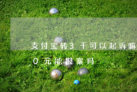 支付宝转3千可以起诉嘛(支付宝转账1000元能报案吗)