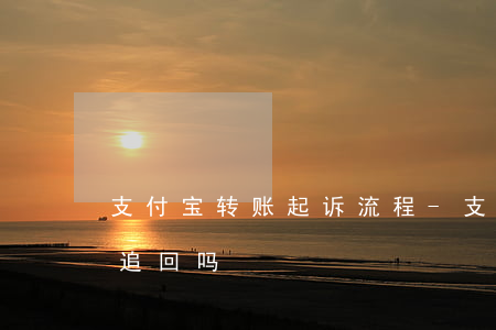 支付宝转账起诉流程-支付宝转账可以起诉追回吗