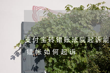 支付宝转错账法院起诉能要回来吗（支付宝转错帐如何起诉）