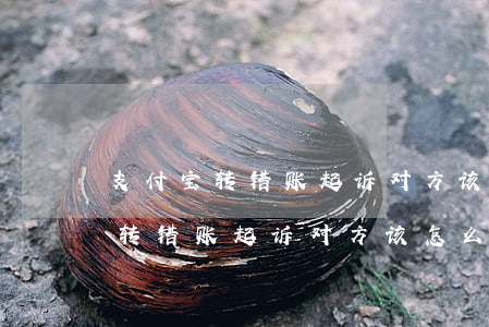 支付宝转错账起诉对方该怎么处理-支付宝转错账起诉对方该怎么处理呢