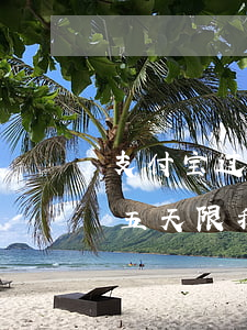 支付宝过了十二点还款算逾期吗 支付宝逾期五天,限我明天中午12点前还款