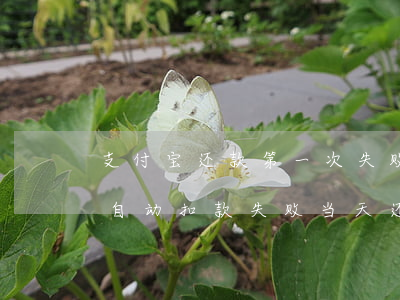 支付宝还款第一次失败算逾期嘛 支付宝借呗自动扣款失败当天还算逾期吗