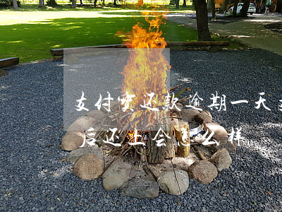 支付宝还款逾期一天 支付宝还款逾期一天,然后还上会怎么样