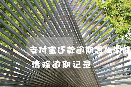 支付宝还款逾期怎么消除(支付宝逾期后怎么清除逾期记录)