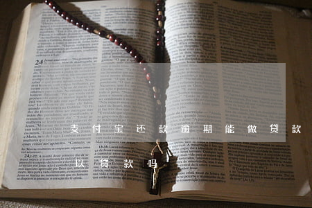支付宝还款逾期能做贷款吗(支付宝有逾期可以贷款吗)