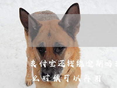 支付宝还钱能逾期吗(支付宝逾期还了钱后什么时候可以再用)