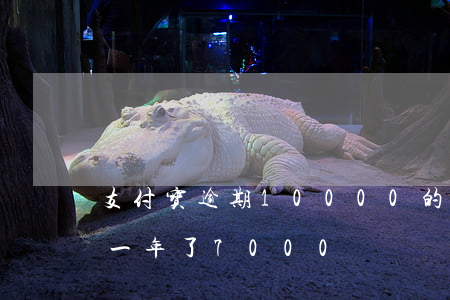 支付宝逾期10000的后果-支付宝逾期一年了7000