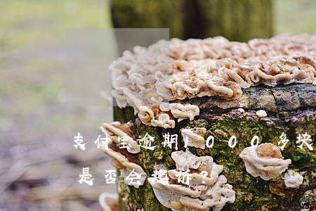 支付宝逾期1000多块钱：被询问老家情况，是否会起诉？