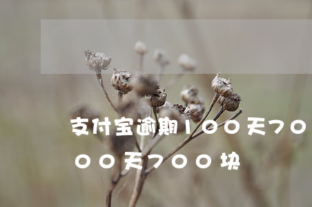 支付宝逾期100天700块(支付宝逾期100天700块)