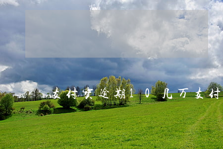 支付宝逾期10几万(支付宝二十多万逾期)