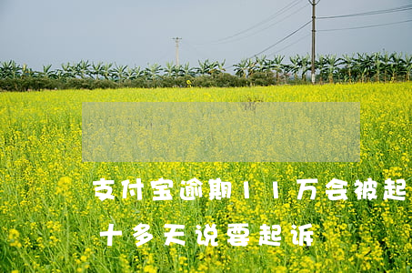 支付宝逾期11万会被起诉吗-支付宝逾期十多天说要起诉