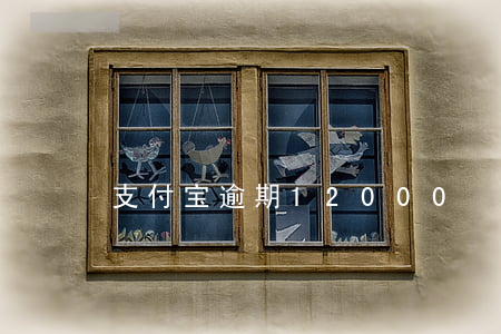支付宝逾期12000