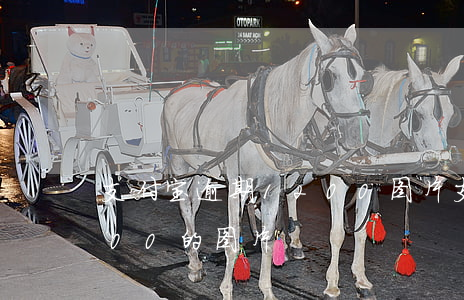支付宝逾期1200图片 支付宝花呗逾期200的图片
