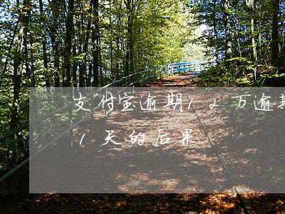 支付宝逾期12万逾期40天(支付宝逾期41天的后果)