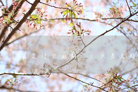 支付宝逾期15天多久解封(支付宝允许逾期几天)