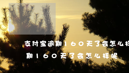 支付宝逾期160天了会怎么样-支付宝逾期160天了会怎么样呢