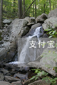 支付宝逾期1万多两年(支付宝逾期一年半)