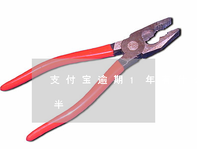 支付宝逾期1年有什么事件 支付宝逾期一年半