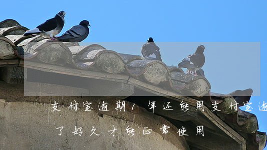 支付宝逾期1年还能用(支付宝逾期半年还完了好久才能正常使用)