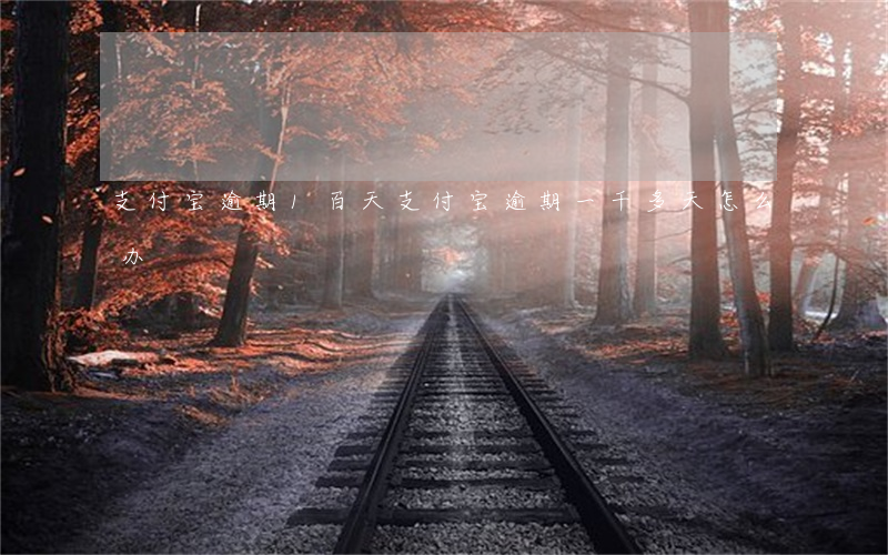 支付宝逾期1百天(支付宝逾期一千多天怎么办)